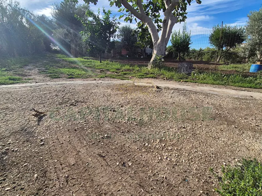 Immagine 10 di Villa in vendita  a Marcianise