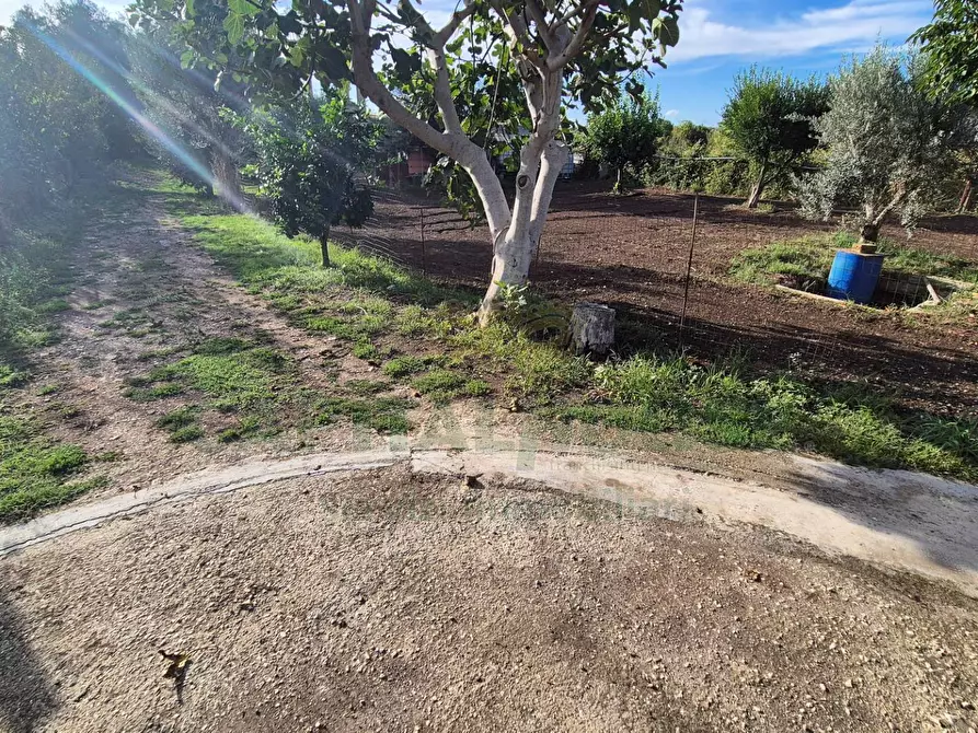 Immagine 12 di Villa in vendita  a Marcianise