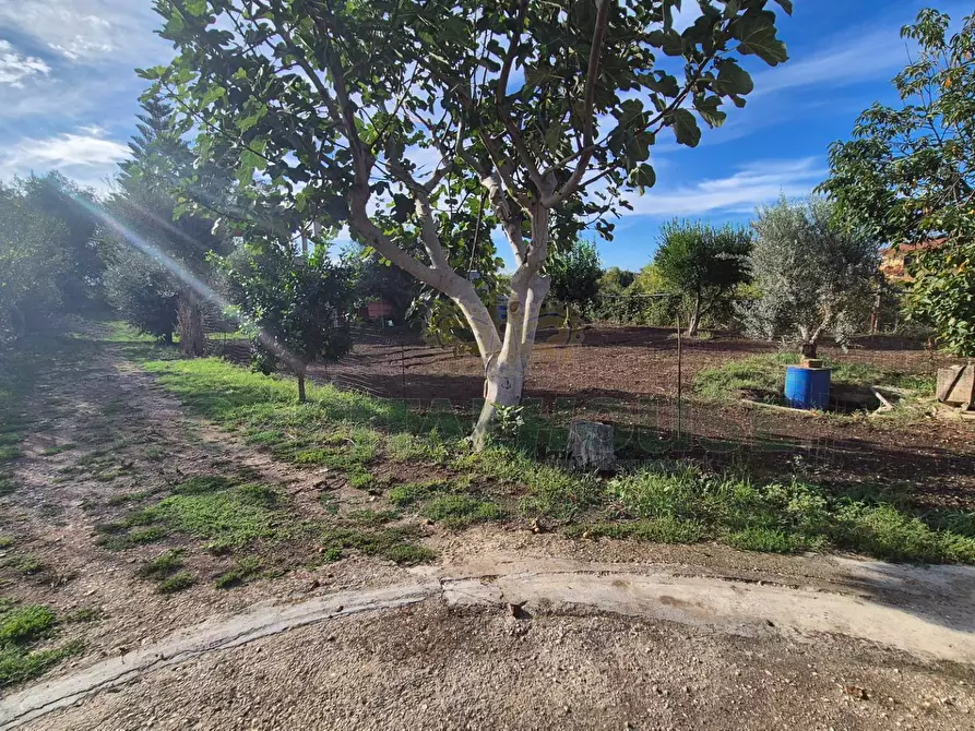 Immagine 13 di Villa in vendita  a Marcianise