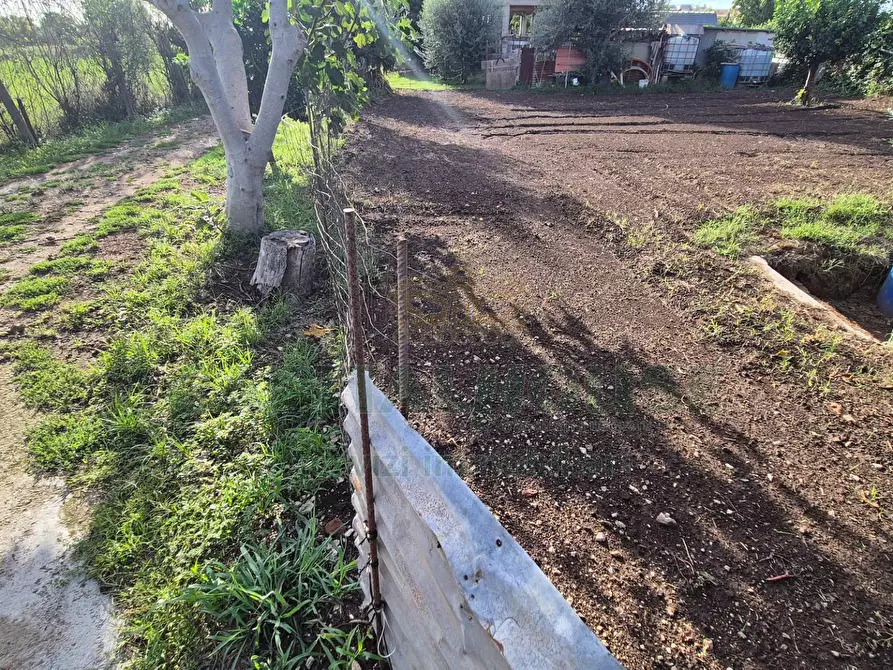 Immagine 14 di Villa in vendita  a Marcianise