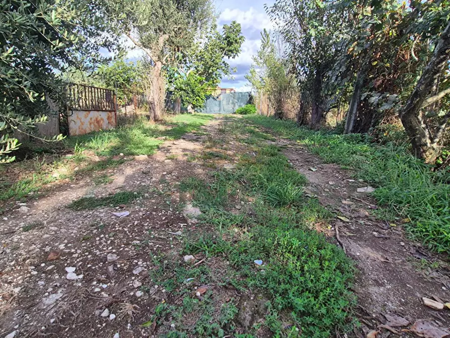 Immagine 16 di Villa in vendita  a Marcianise