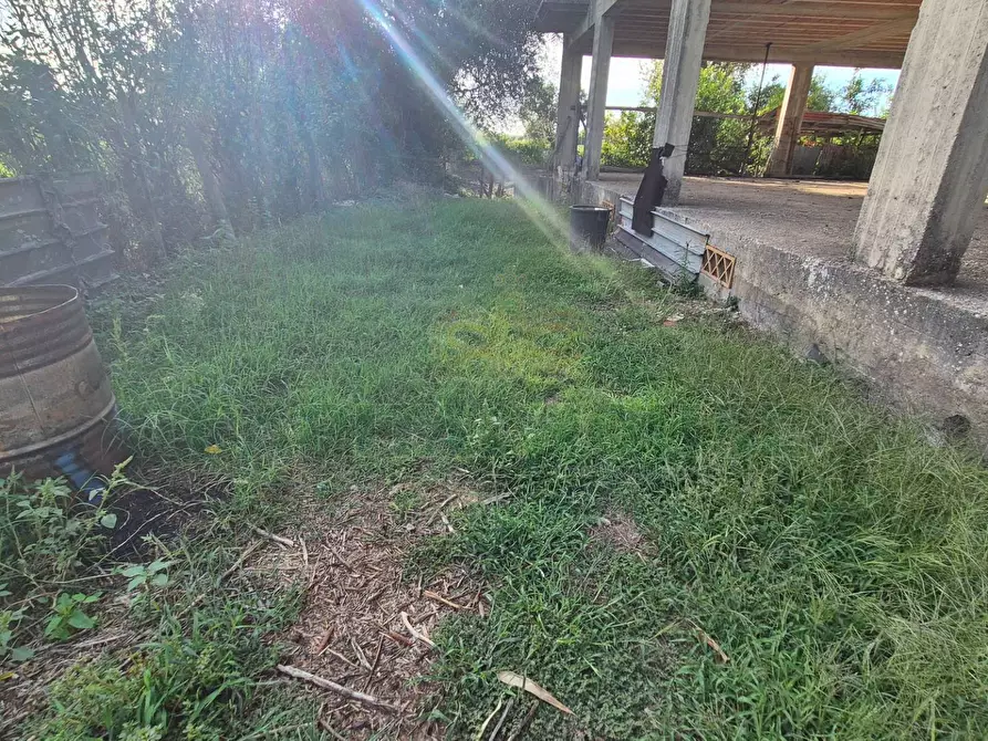 Immagine 19 di Villa in vendita  a Marcianise