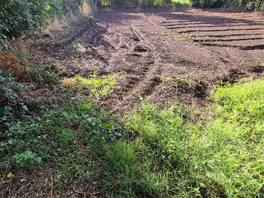 Immagine 20 di Villa in vendita  a Marcianise