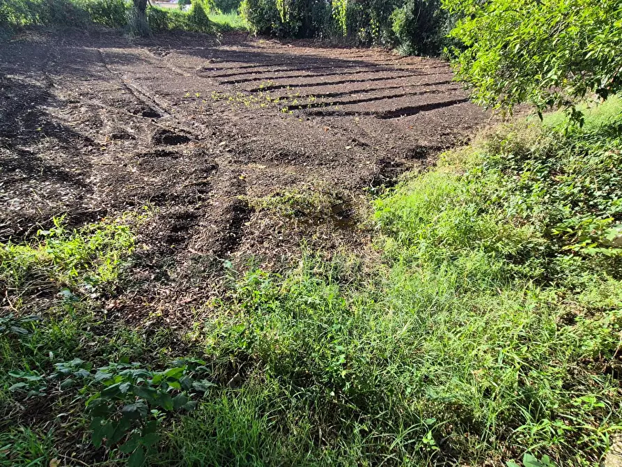 Immagine 21 di Villa in vendita  a Marcianise