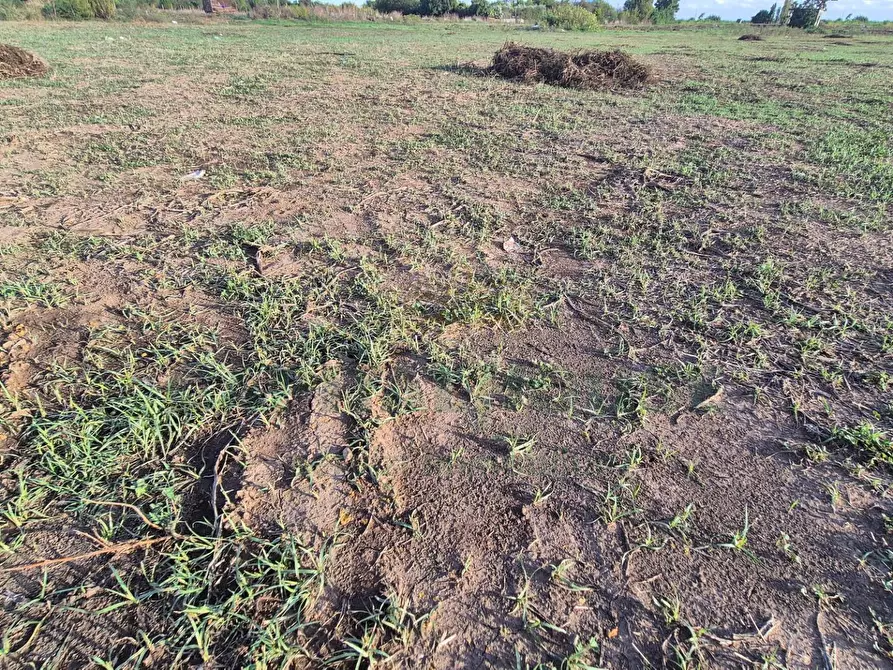 Immagine 3 di Locale commerciale in vendita  a Macerata Campania