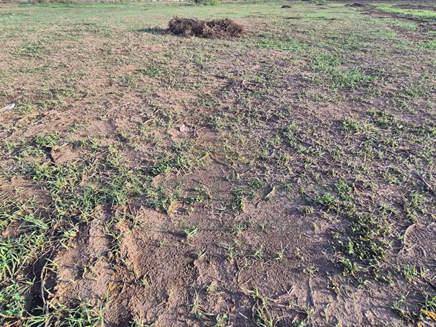 Immagine 4 di Locale commerciale in vendita  a Macerata Campania