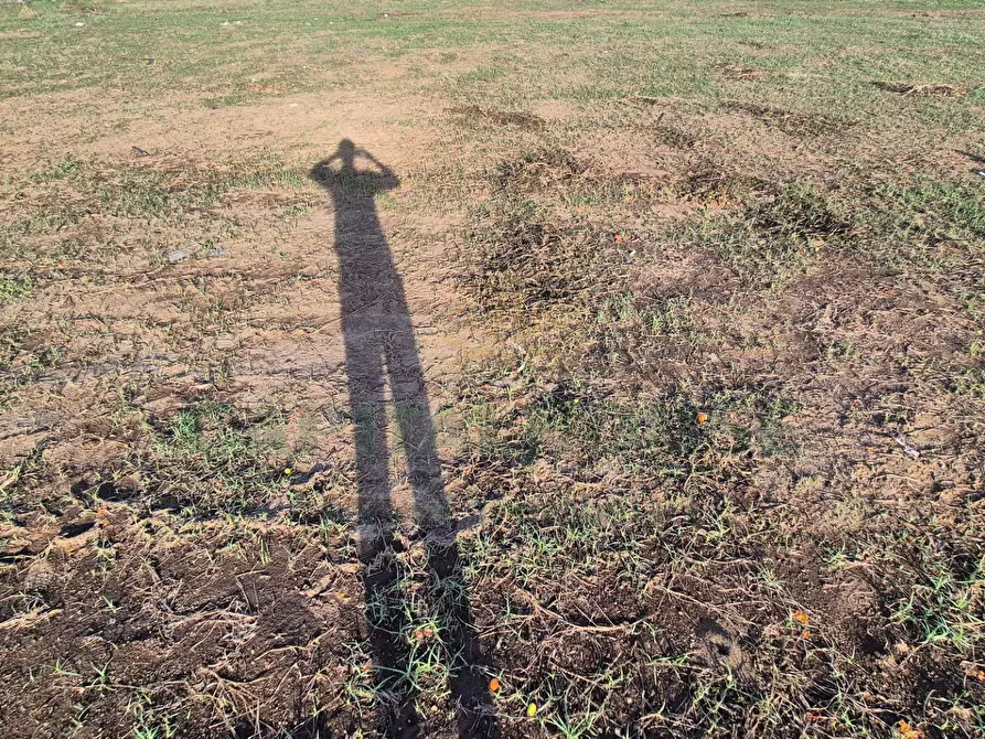 Immagine 5 di Locale commerciale in vendita  a Macerata Campania