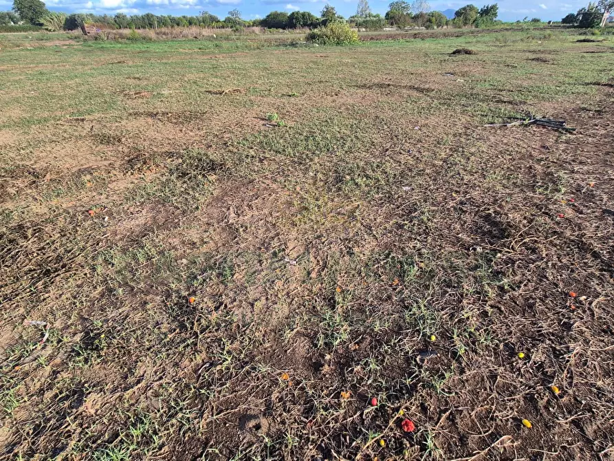 Immagine 6 di Locale commerciale in vendita  a Macerata Campania