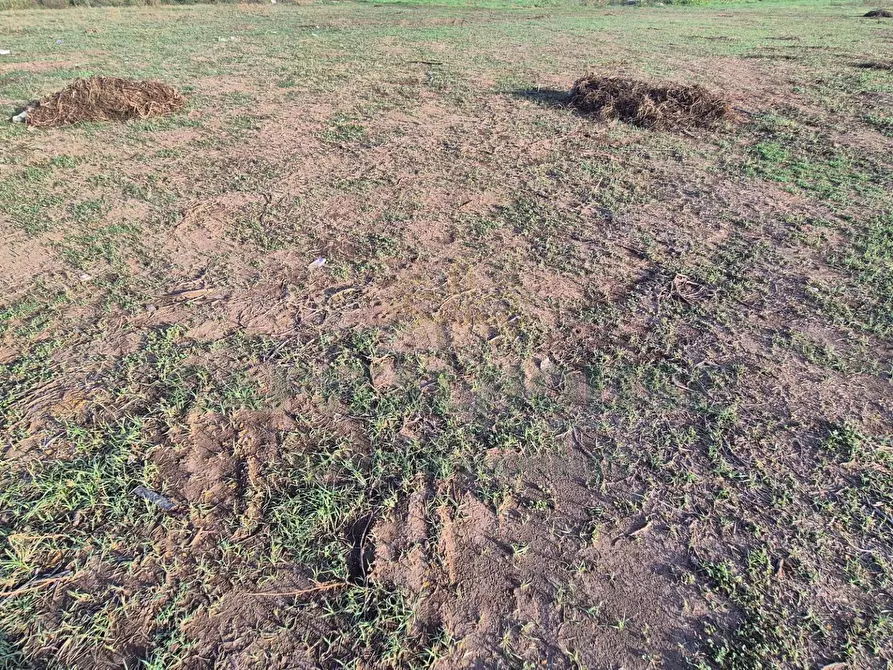 Immagine 7 di Locale commerciale in vendita  a Macerata Campania