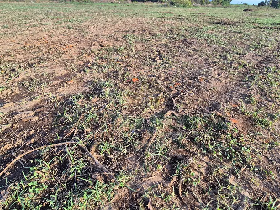 Immagine 8 di Locale commerciale in vendita  a Macerata Campania