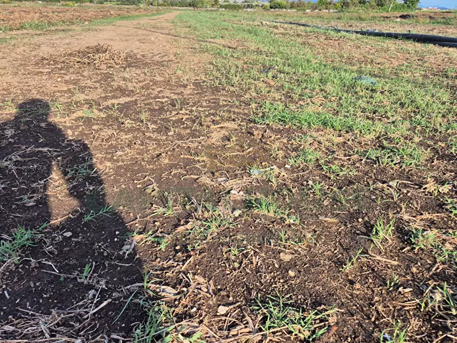 Immagine 9 di Locale commerciale in vendita  a Macerata Campania