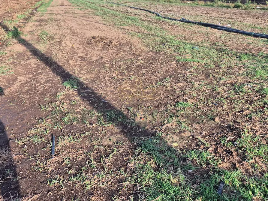 Immagine 10 di Locale commerciale in vendita  a Macerata Campania