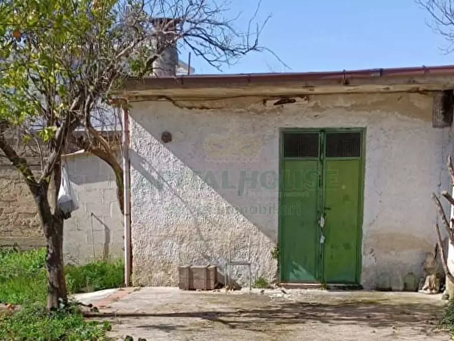 Immagine 3 di Appartamento in vendita  a Camigliano