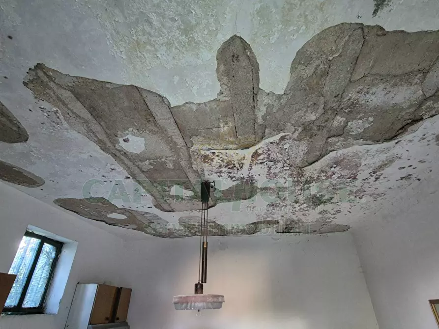 Immagine 5 di Appartamento in vendita  a Camigliano