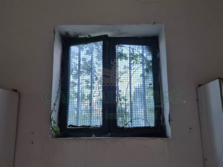 Immagine 7 di Appartamento in vendita  a Camigliano