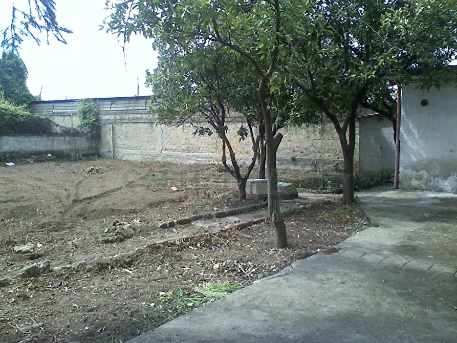 Immagine 13 di Appartamento in vendita  a Camigliano