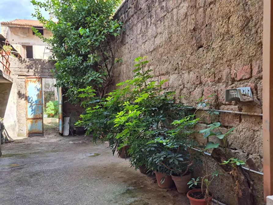 Immagine 33 di Casa indipendente in vendita  a Camigliano