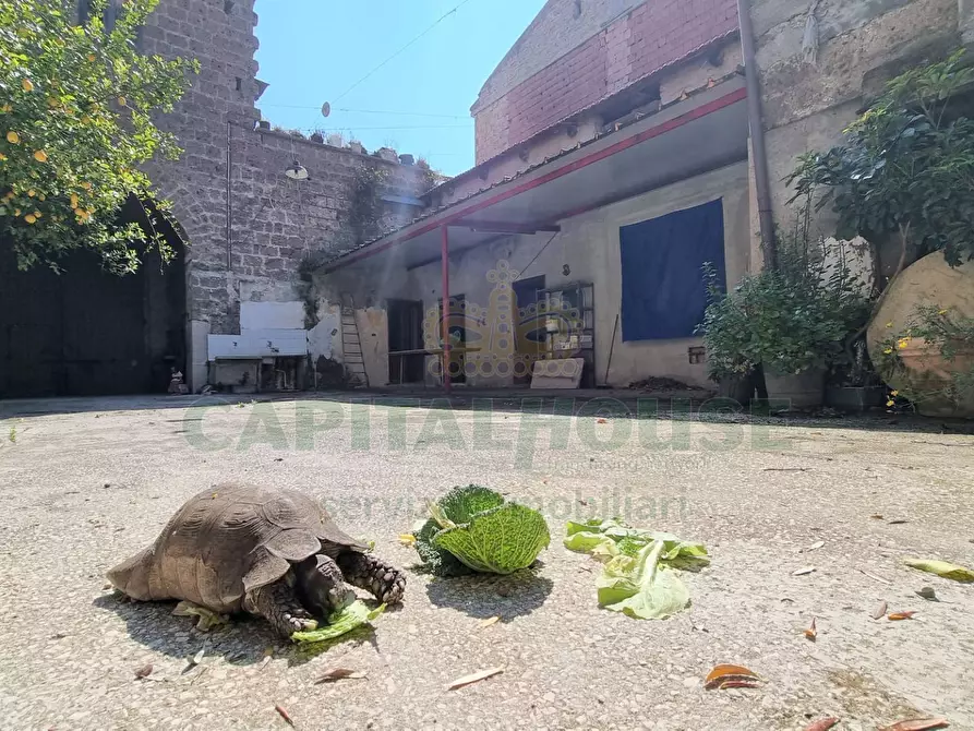 Immagine 5 di Casa indipendente in vendita  a Camigliano
