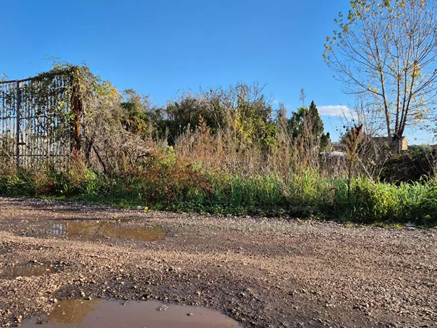 Immagine 3 di Terreno residenziale in vendita  a Marcianise