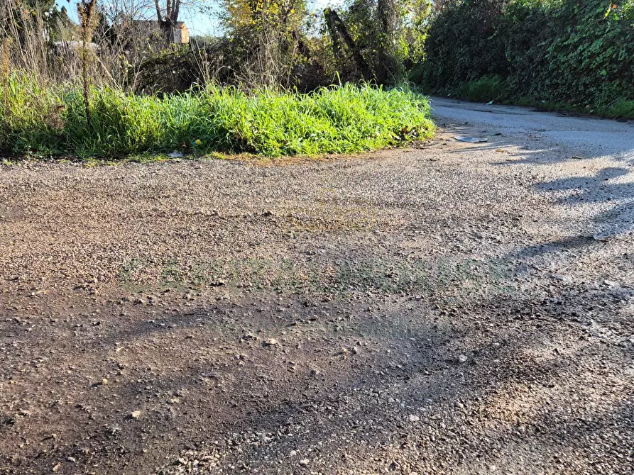 Immagine 4 di Terreno residenziale in vendita  a Marcianise