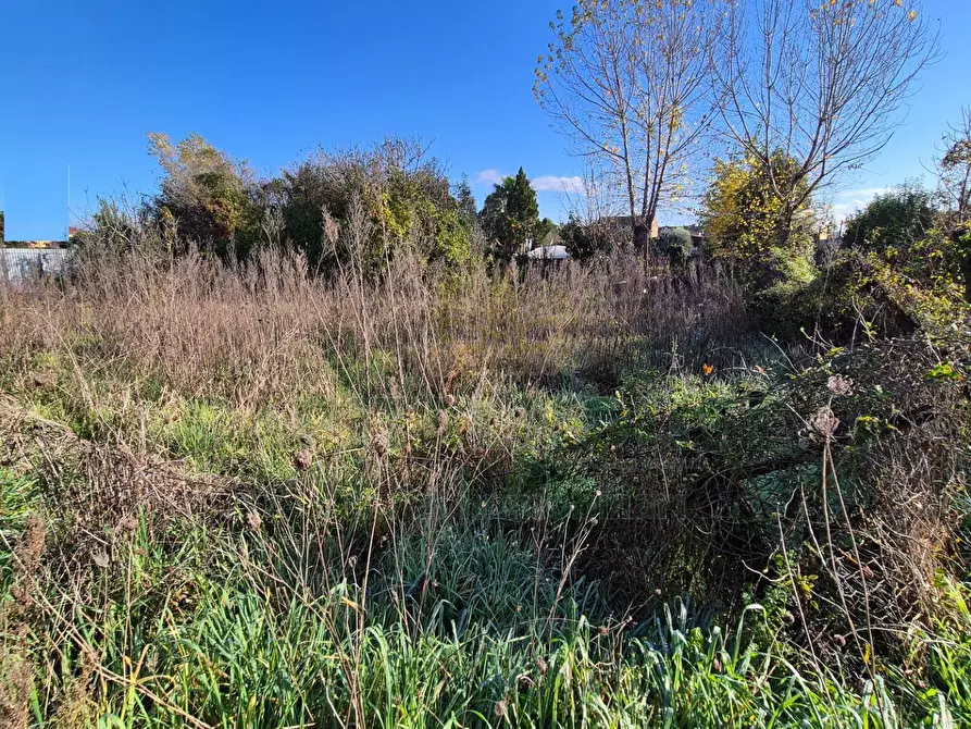 Immagine 7 di Terreno residenziale in vendita  a Marcianise