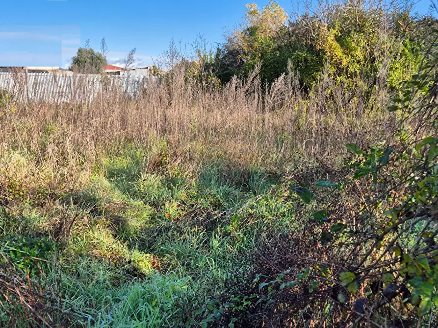 Immagine 8 di Terreno residenziale in vendita  a Marcianise