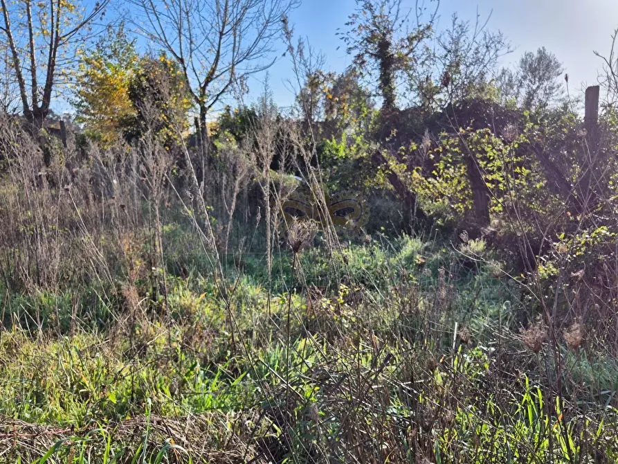 Immagine 11 di Terreno residenziale in vendita  a Marcianise