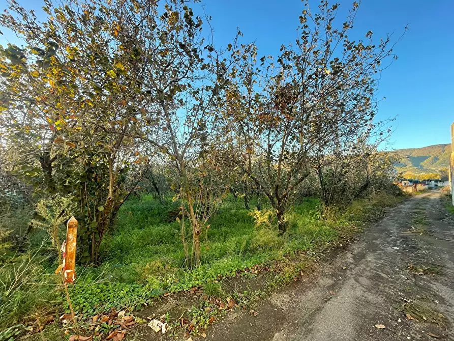 Immagine 8 di Locale commerciale in vendita  in avella a Avella