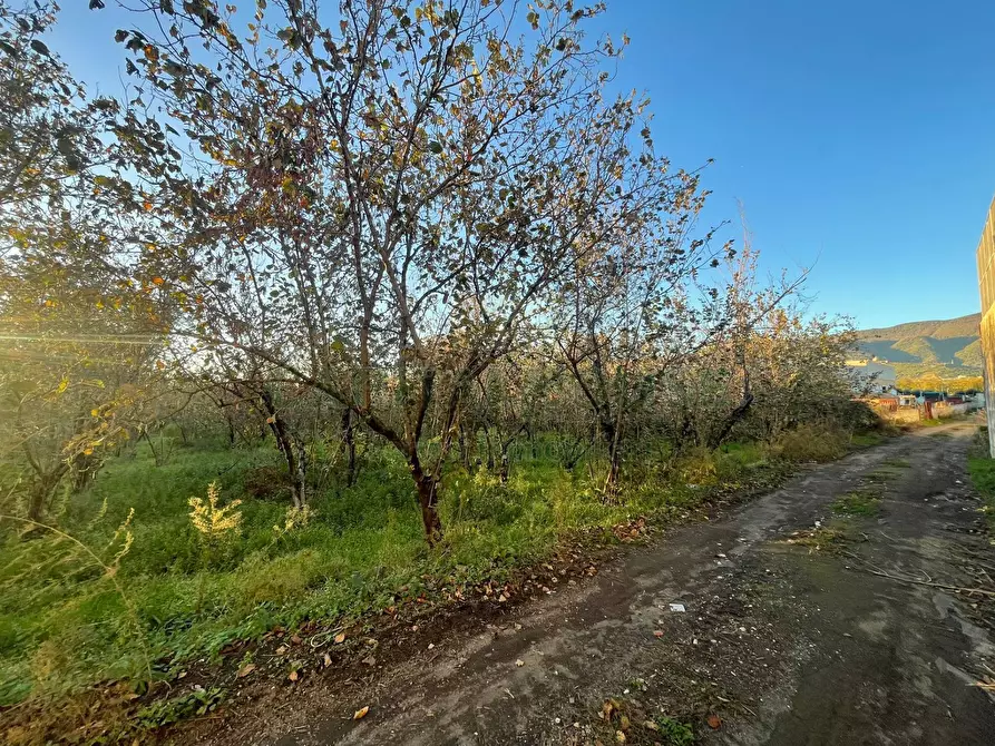 Immagine 9 di Locale commerciale in vendita  in avella a Avella