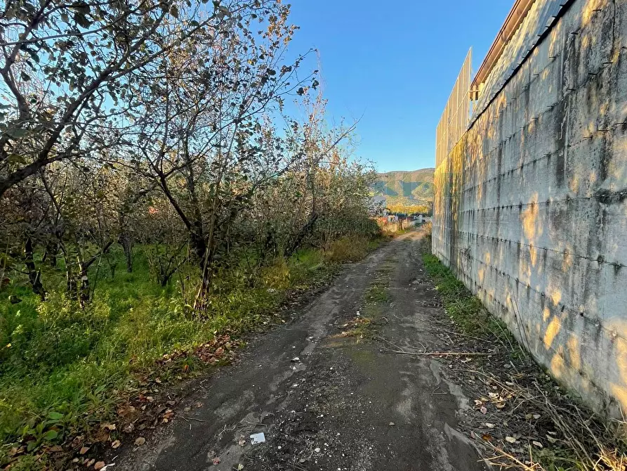 Immagine 10 di Locale commerciale in vendita  in avella a Avella