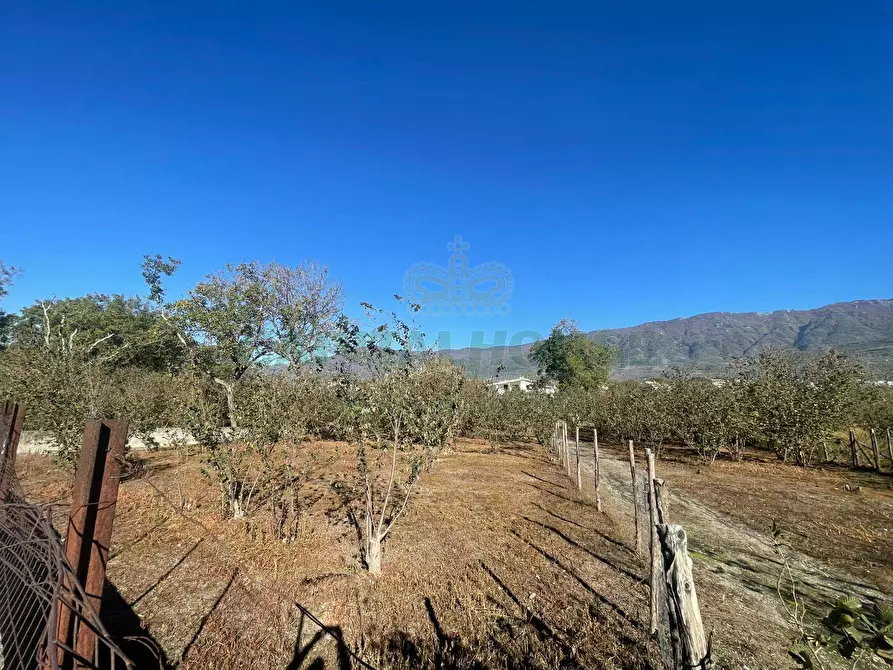 Immagine 4 di Terreno agricolo in vendita  in sperone a Sperone