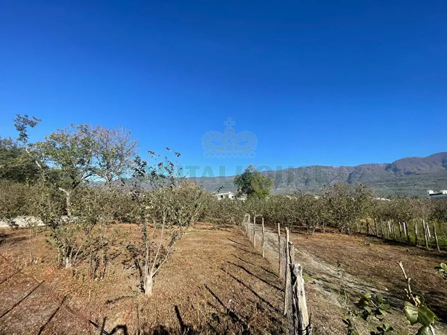 Immagine 5 di Terreno agricolo in vendita  in sperone a Sperone