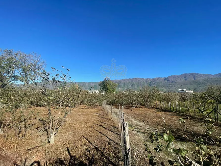 Immagine 7 di Terreno agricolo in vendita  in sperone a Sperone