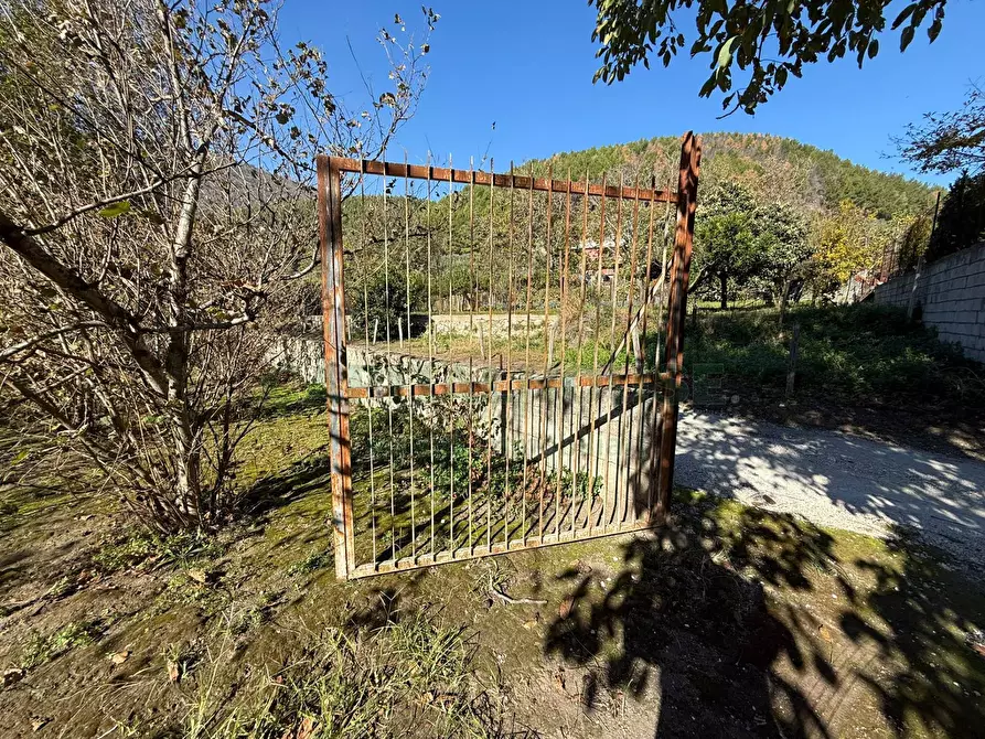 Immagine 2 di Terreno agricolo in vendita  in Via Tuoro di Sasso a Roccarainola