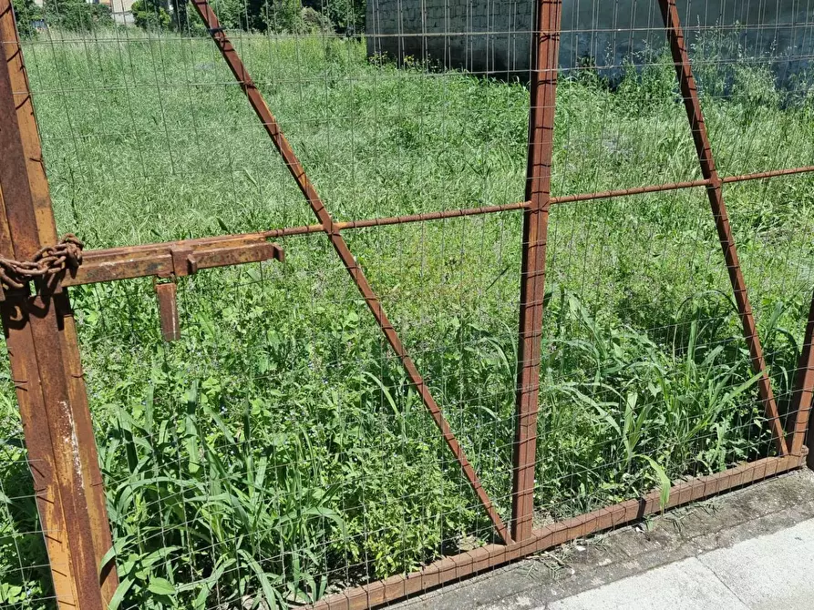 Immagine 7 di Terreno residenziale in vendita  a Camigliano