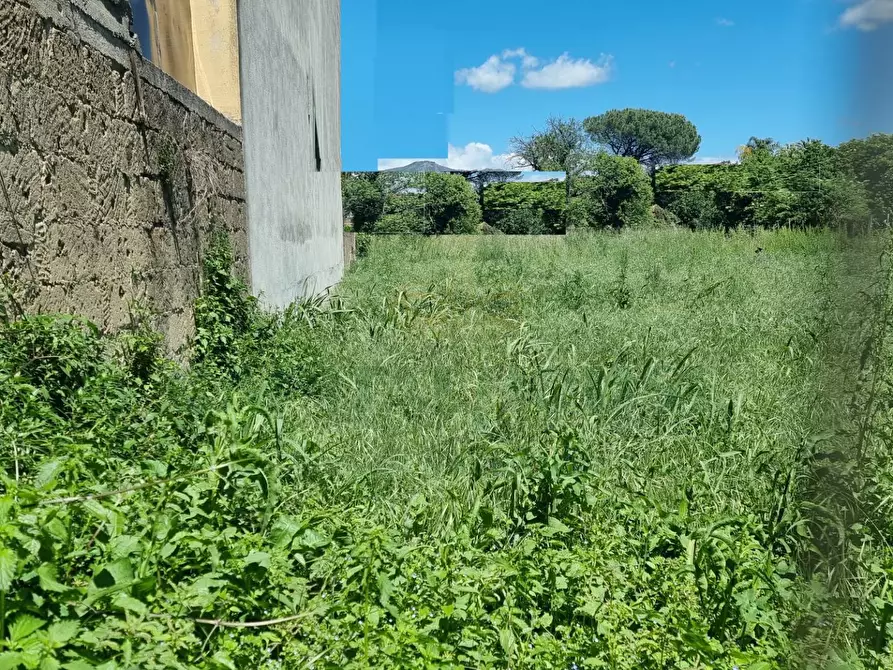 Immagine 8 di Terreno residenziale in vendita  a Camigliano