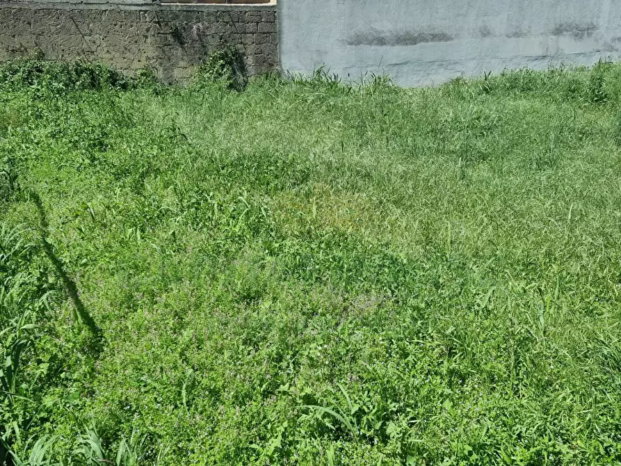 Immagine 9 di Terreno residenziale in vendita  a Camigliano