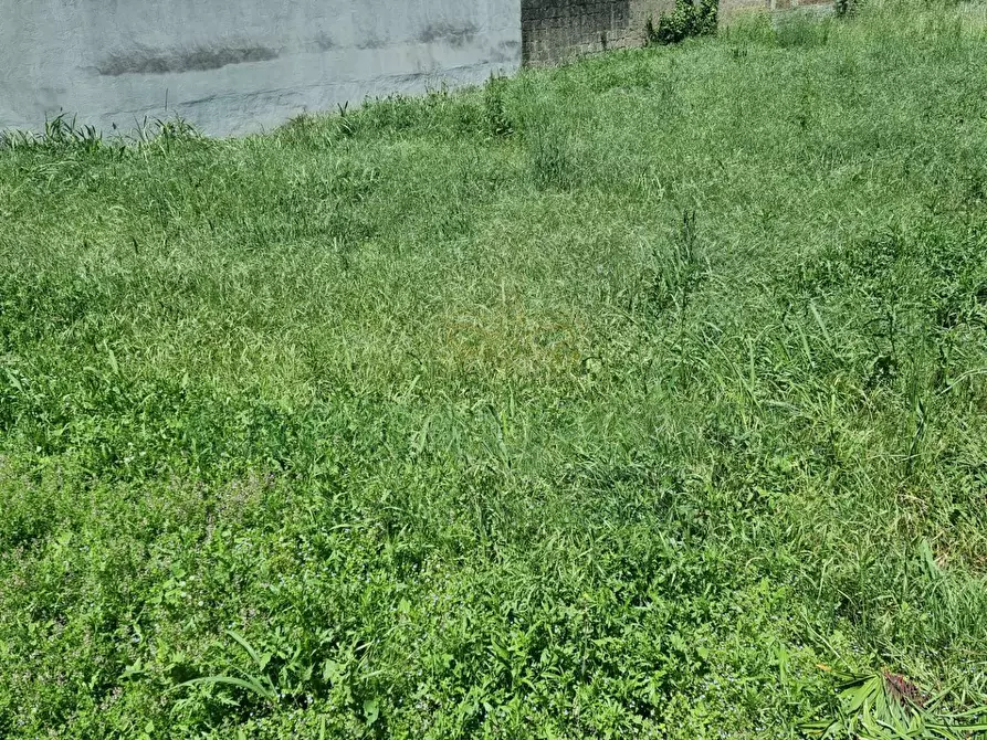 Immagine 10 di Terreno residenziale in vendita  a Camigliano