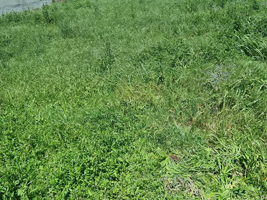 Immagine 11 di Terreno residenziale in vendita  a Camigliano