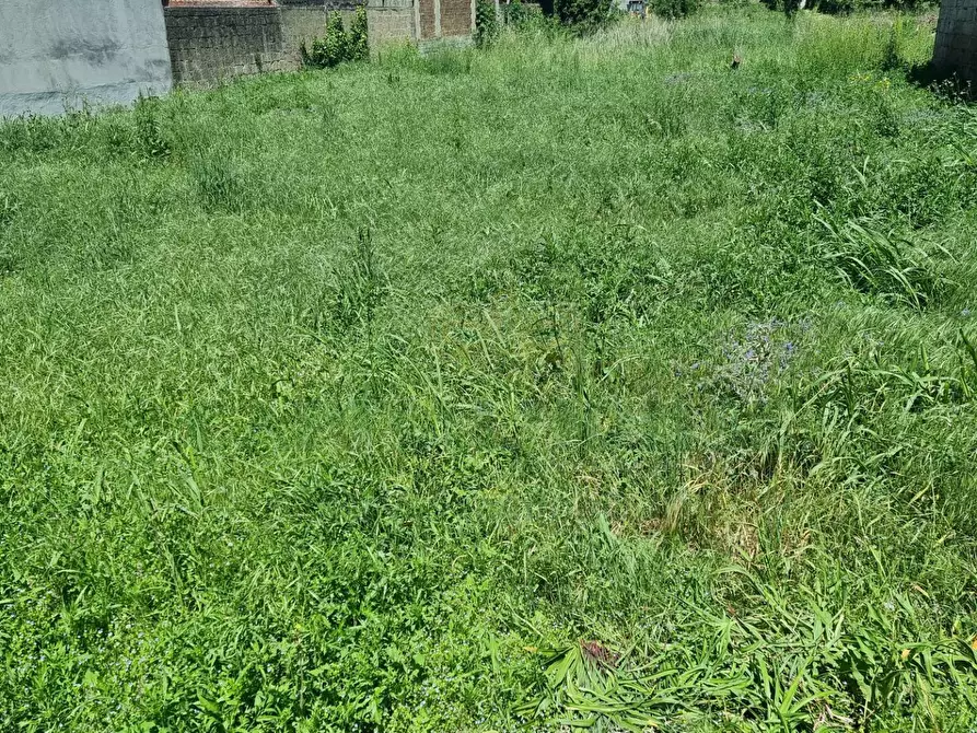 Immagine 12 di Terreno residenziale in vendita  a Camigliano