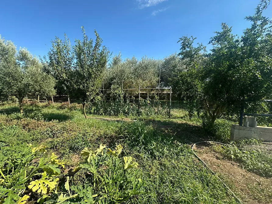 Immagine 2 di Terreno residenziale in vendita  in zona nazionale a Capua