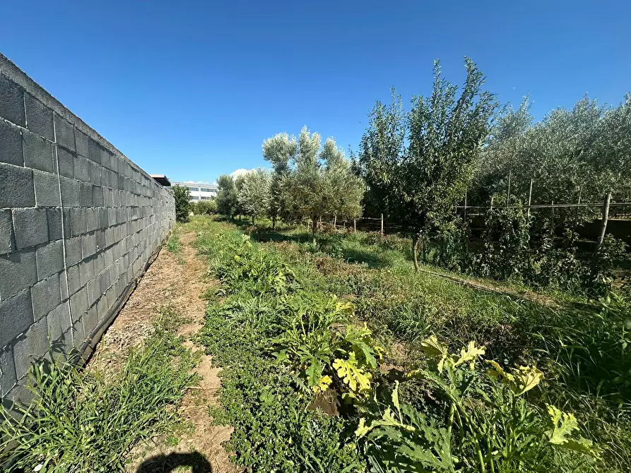 Immagine 3 di Terreno residenziale in vendita  in zona nazionale a Capua