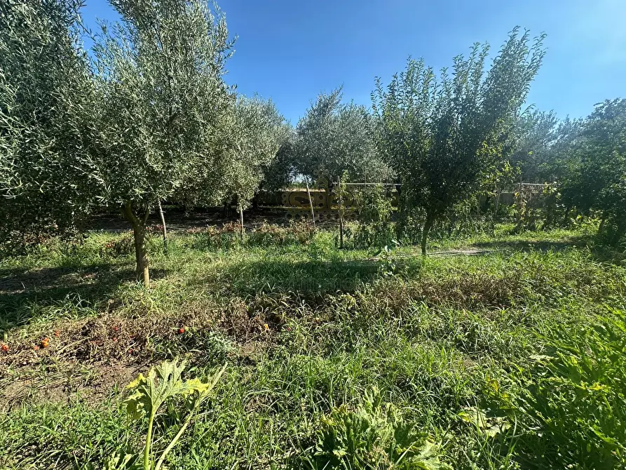 Immagine 5 di Terreno residenziale in vendita  in zona nazionale a Capua