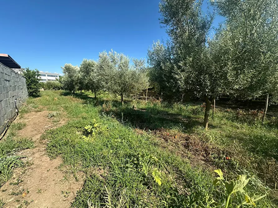 Immagine 6 di Terreno residenziale in vendita  in zona nazionale a Capua