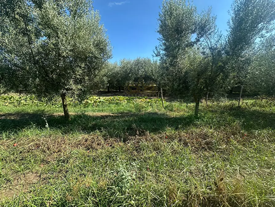Immagine 8 di Terreno residenziale in vendita  in zona nazionale a Capua