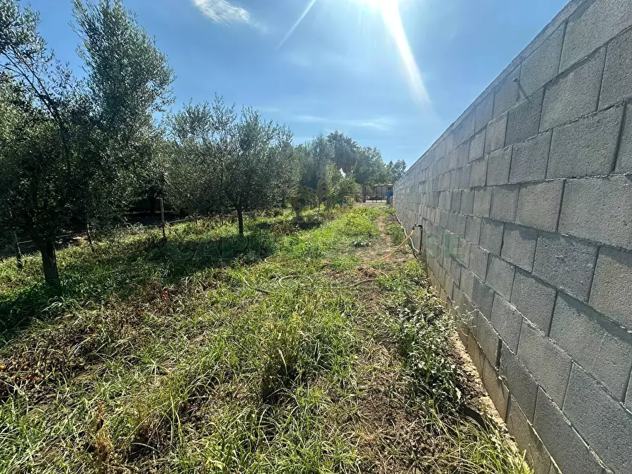 Immagine 9 di Terreno residenziale in vendita  in zona nazionale a Capua