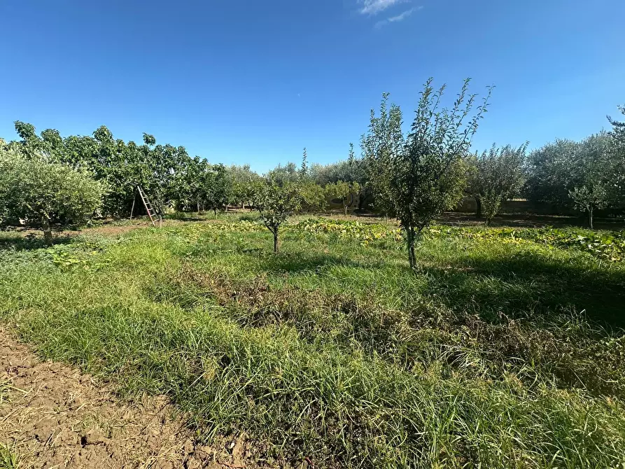 Immagine 10 di Terreno residenziale in vendita  in zona nazionale a Capua