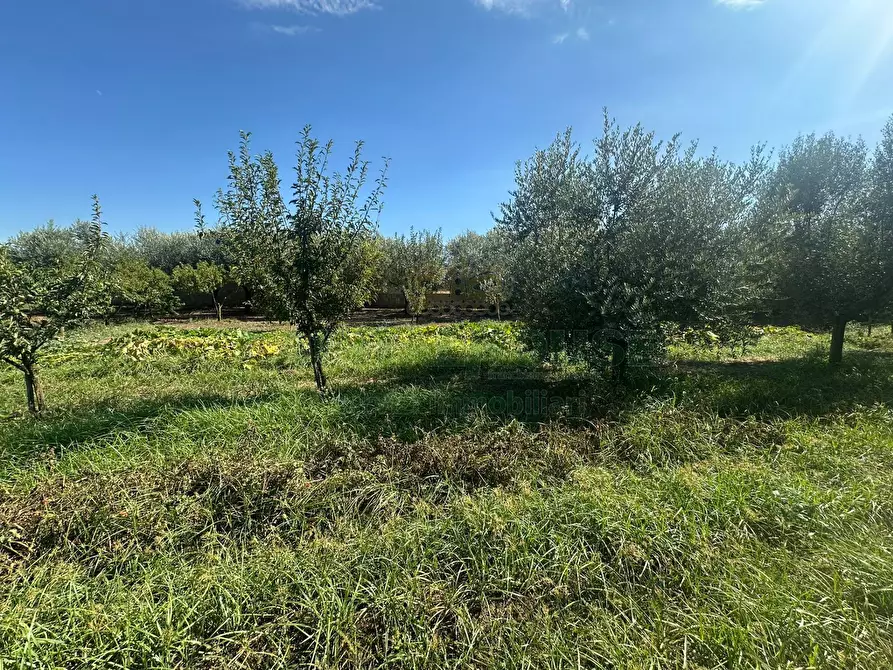 Immagine 11 di Terreno residenziale in vendita  in zona nazionale a Capua