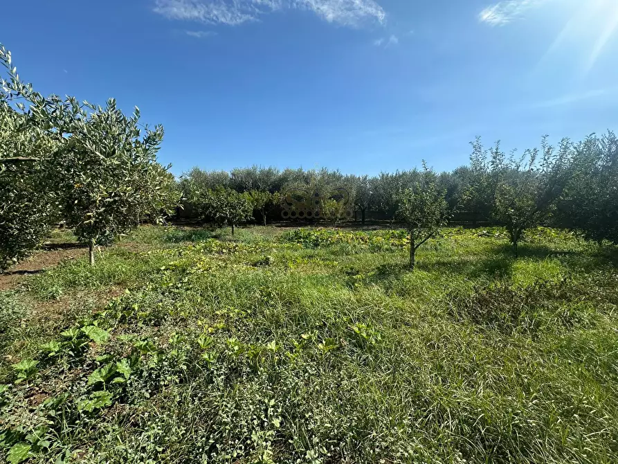 Immagine 12 di Terreno residenziale in vendita  in zona nazionale a Capua