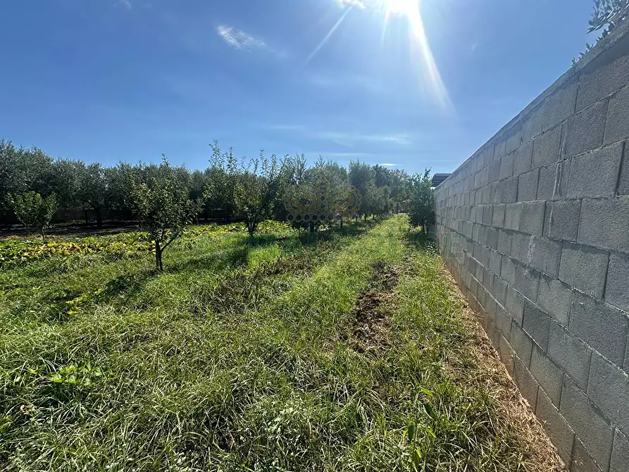 Immagine 13 di Terreno residenziale in vendita  in zona nazionale a Capua
